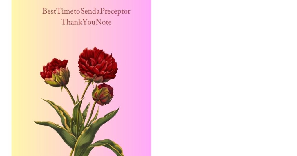 Best Time to Send a Preceptor Thank You Note