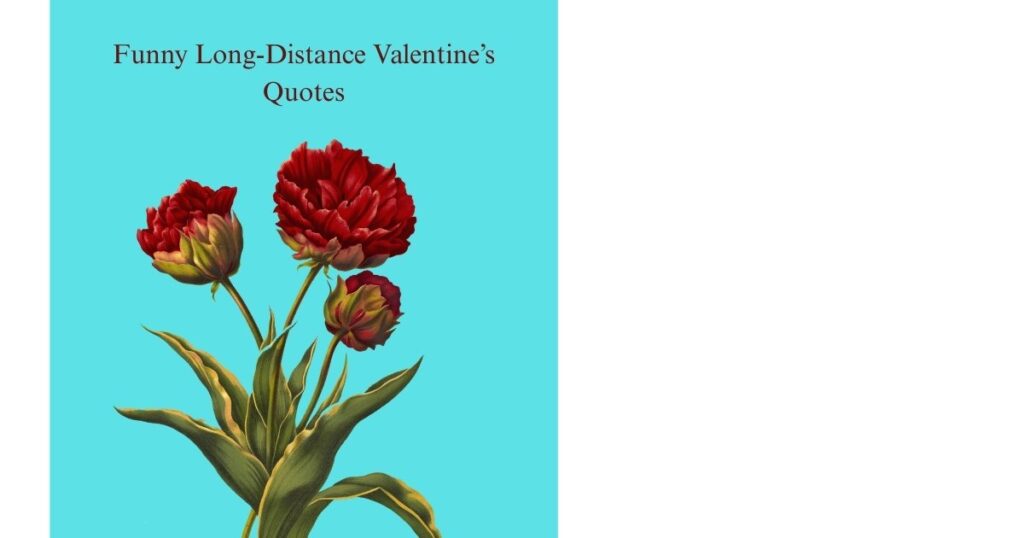Funny Long-Distance Valentine’s Quotes