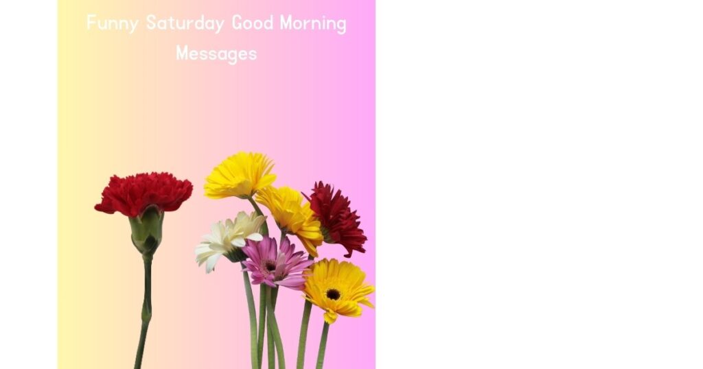 Funny Saturday Good Morning Messages
