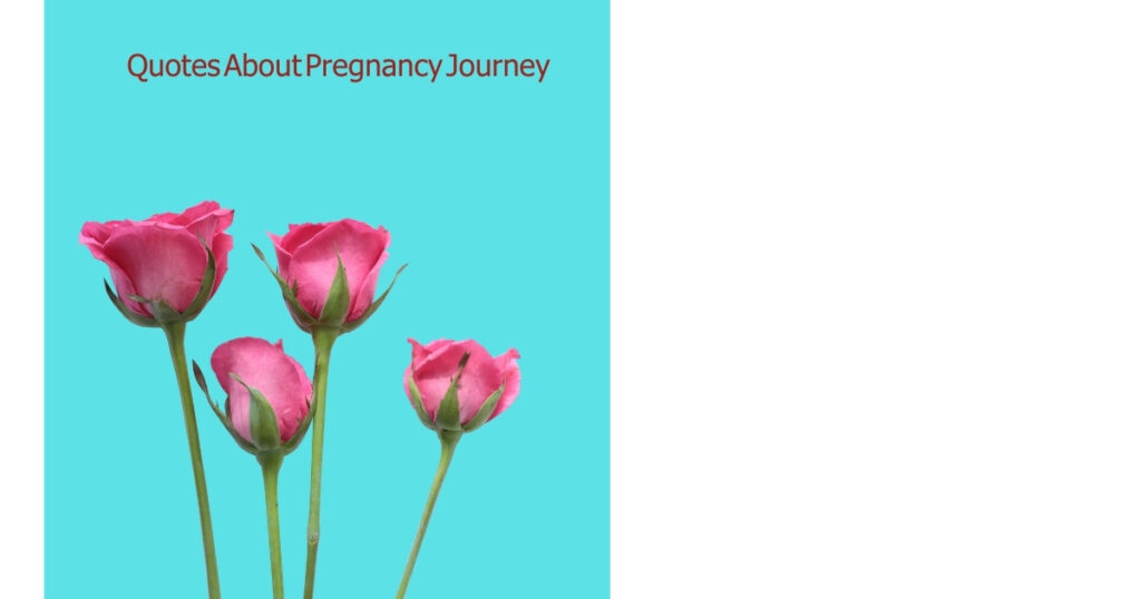 Quotes About Pregnancy Journey
