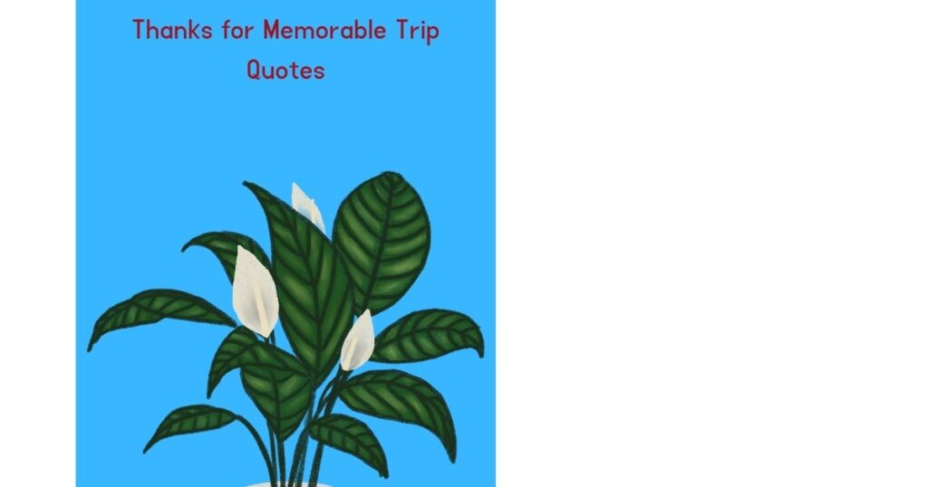 Thanks for Memorable Trip Quotes