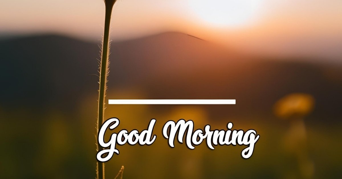 Good Morning Messages Images