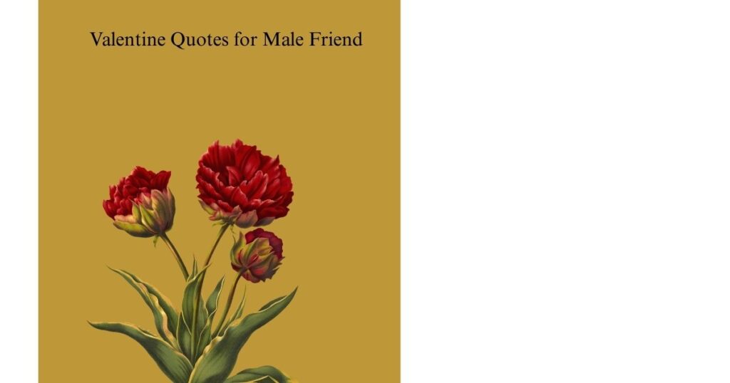 Valentine Quotes for Male Friend